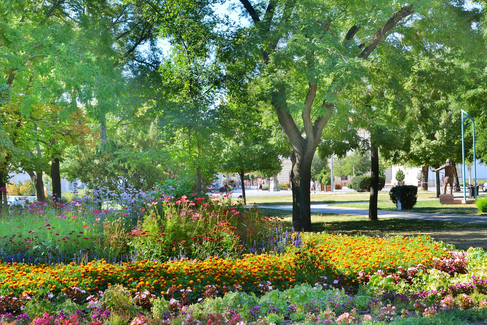 Csodálatosan virágoznak városszerte az egynyári virágok